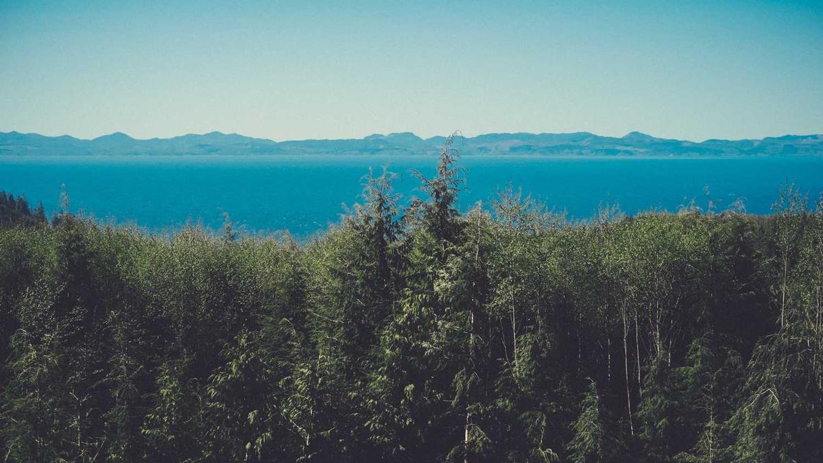 上海单身公寓出售价格多少钱一平方