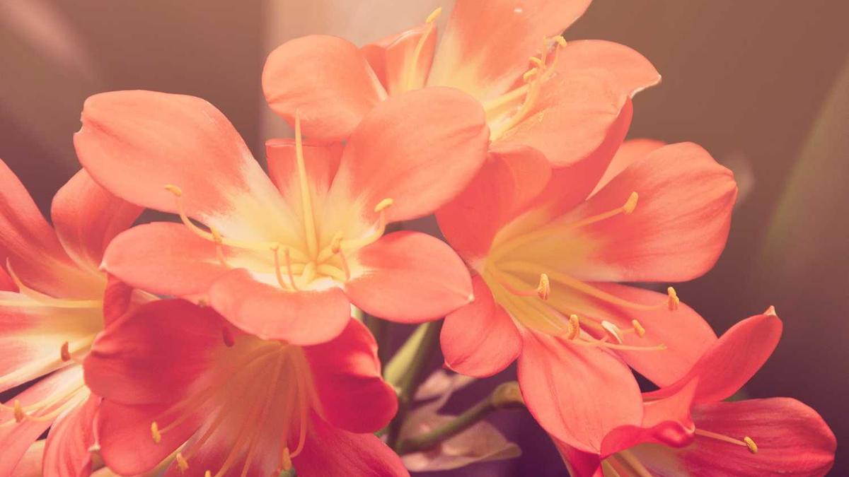 女人突然不让看朋友圈跟相册了什么意思