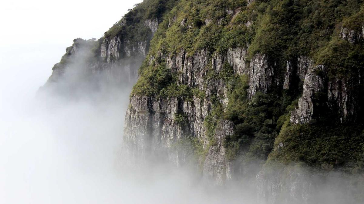 高血压可以喝茶叶吗