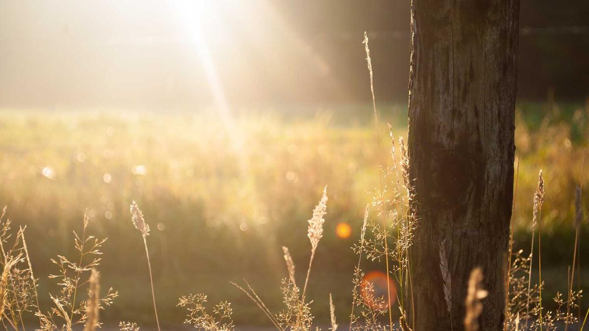 高血压能不能喝茶叶茶