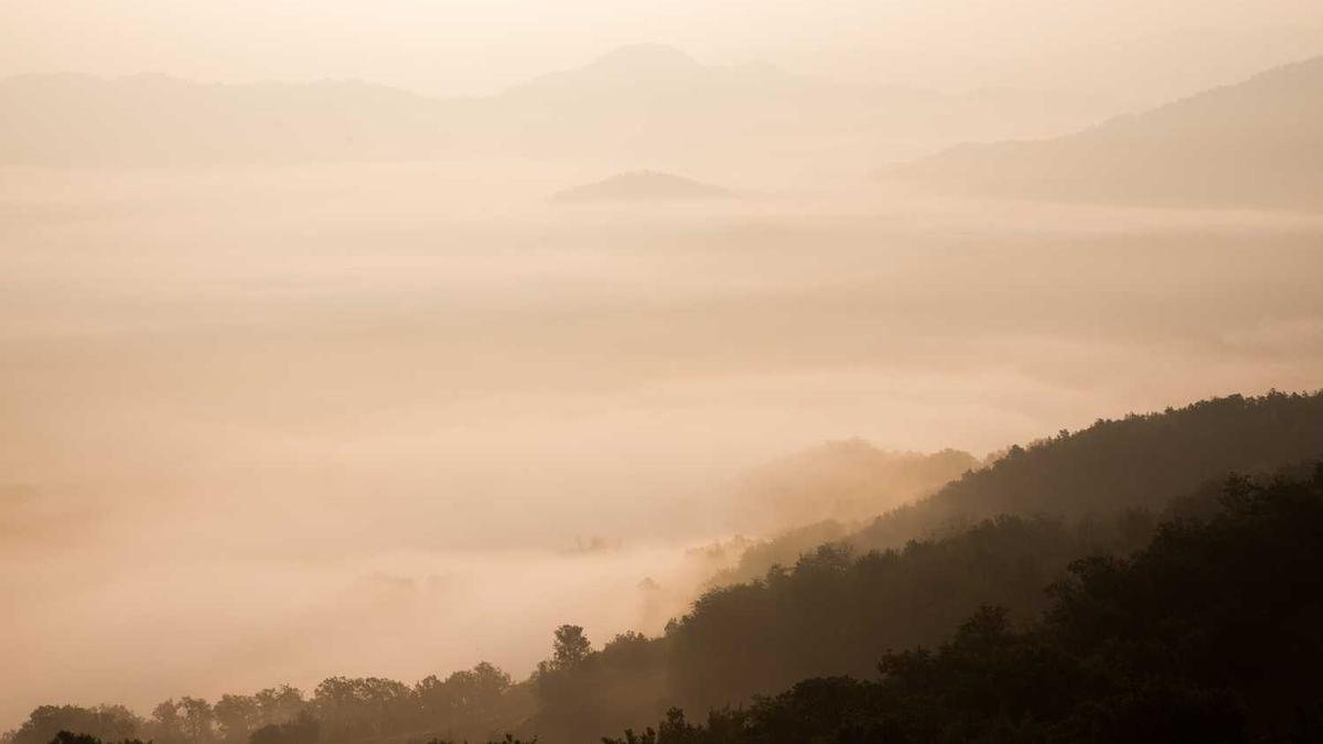 高血压能不能喝茶叶水