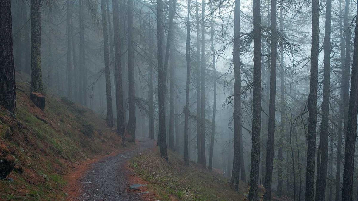 什么平台可以找上门