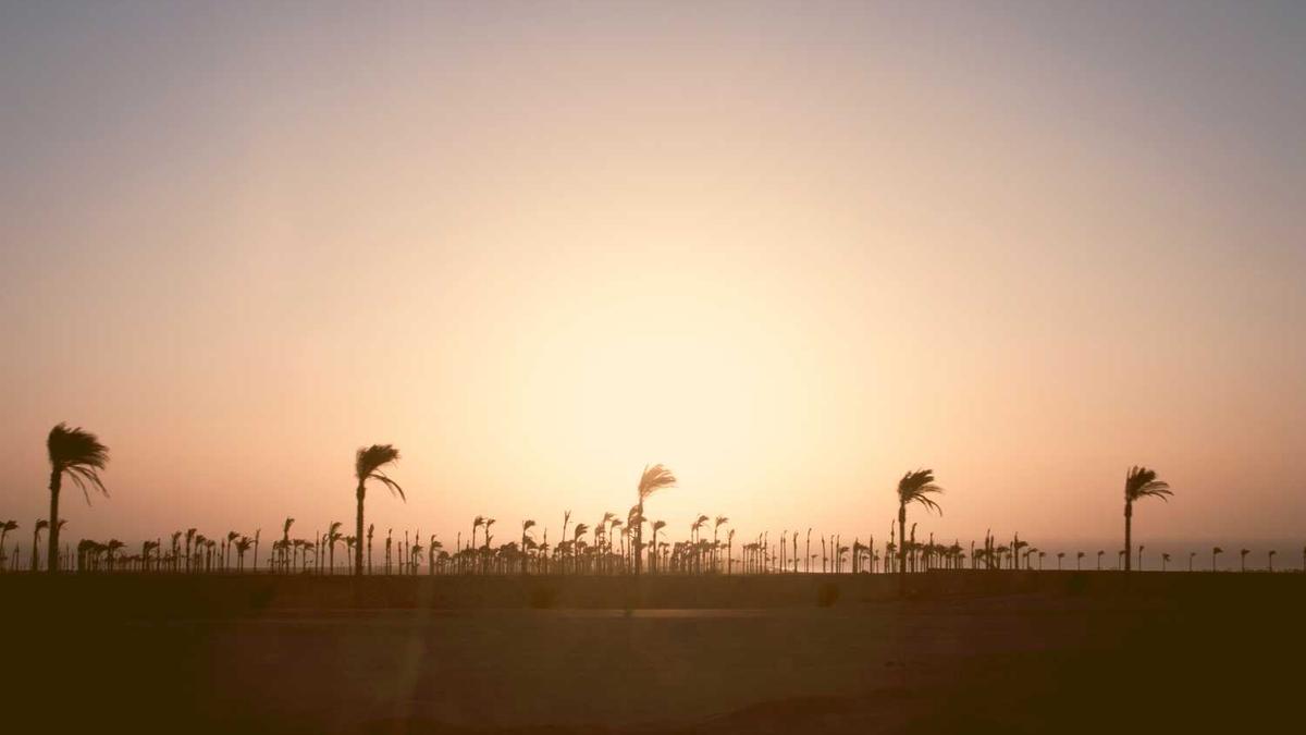 约妹子吃饭微信怎么说