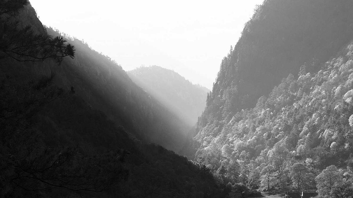 求守护甜心真城璃茉和藤咲抚子喝茶的图片