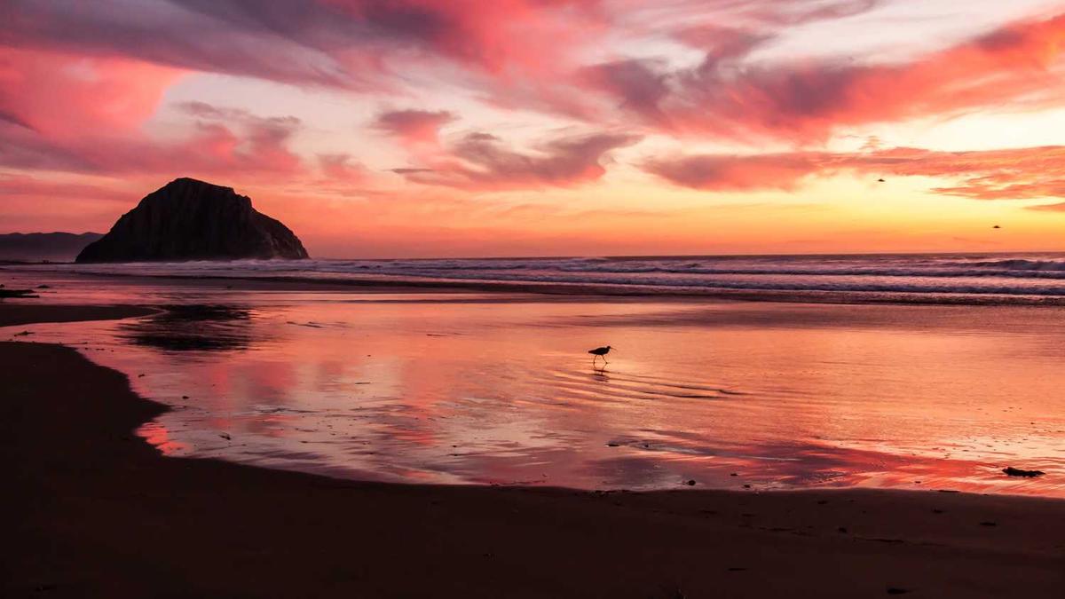 华新镇华富街有很多足浴