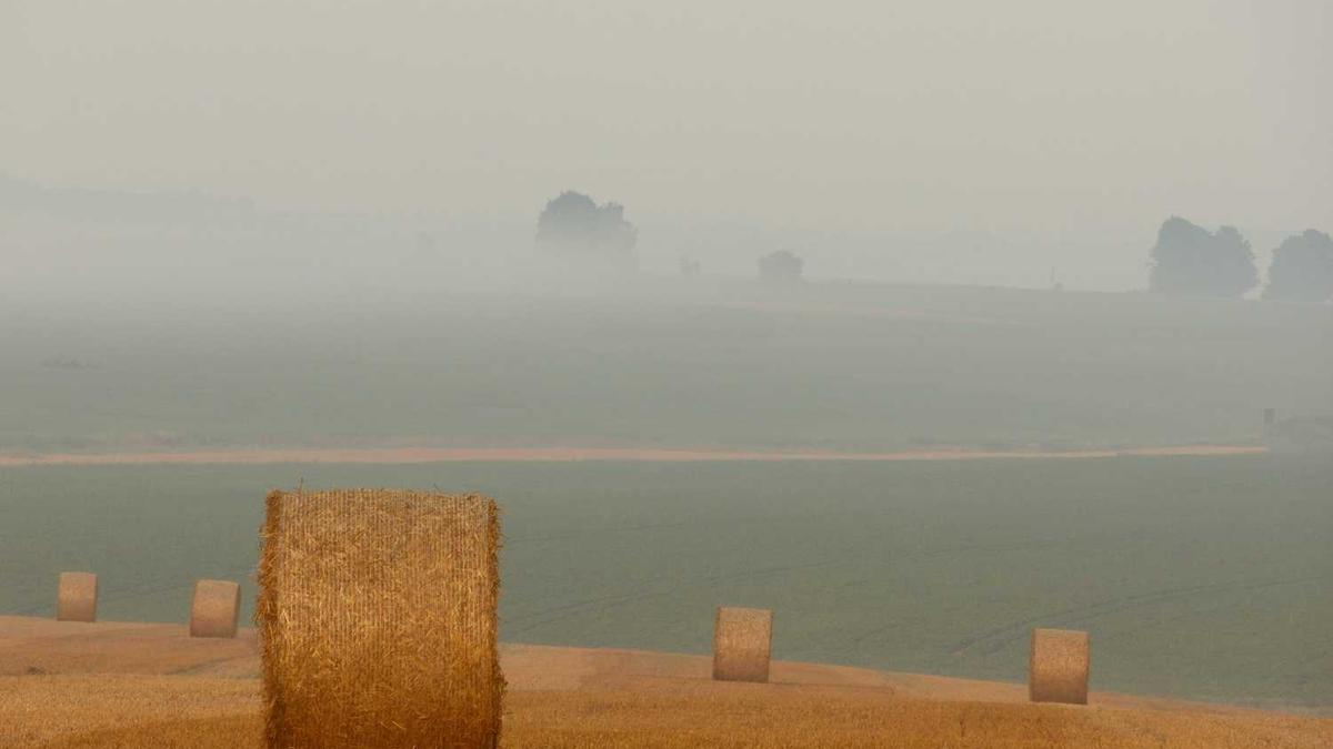 上门按摩app哪个比较好,怎么区别。