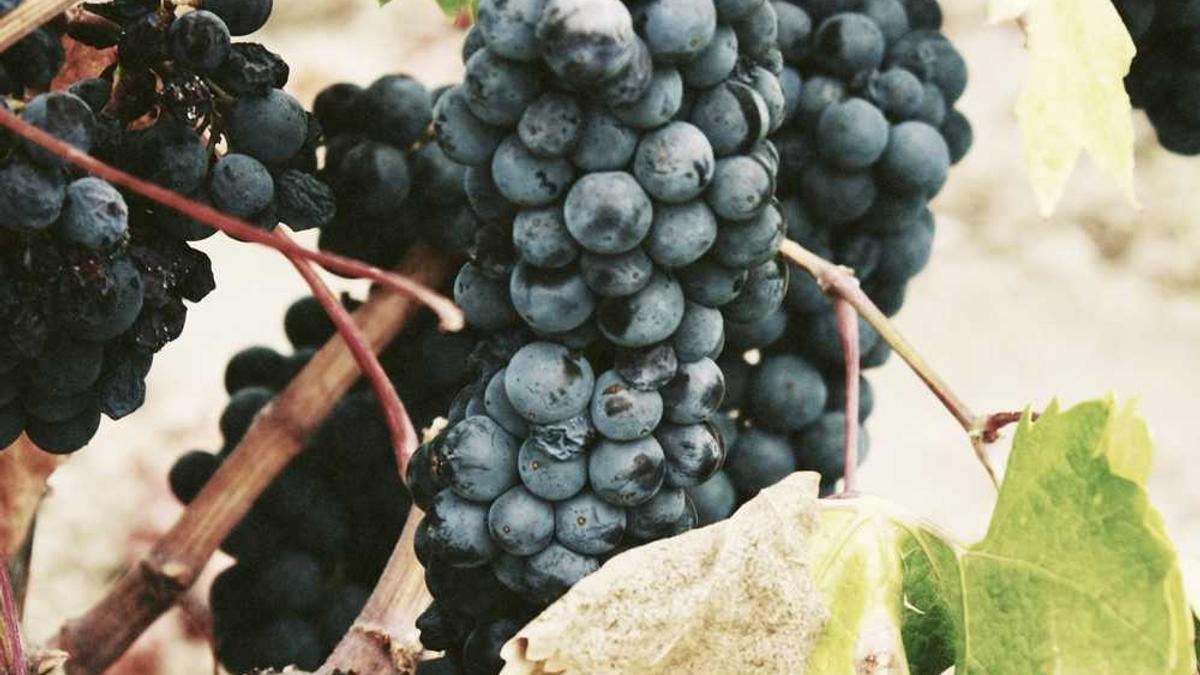 网上约妹子这种行为是骗术还是有真实一面?