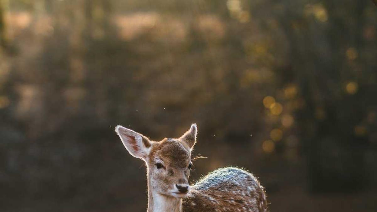 陌陌怎么约妹子