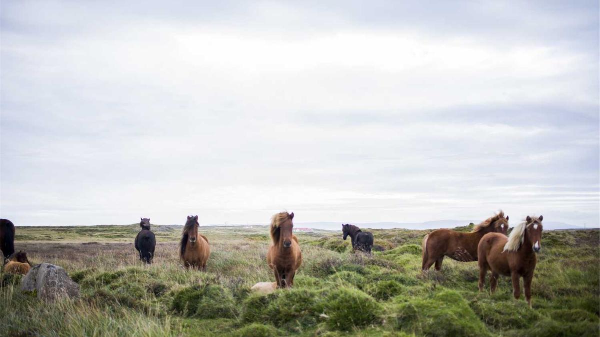 年轻人怎么约熟女