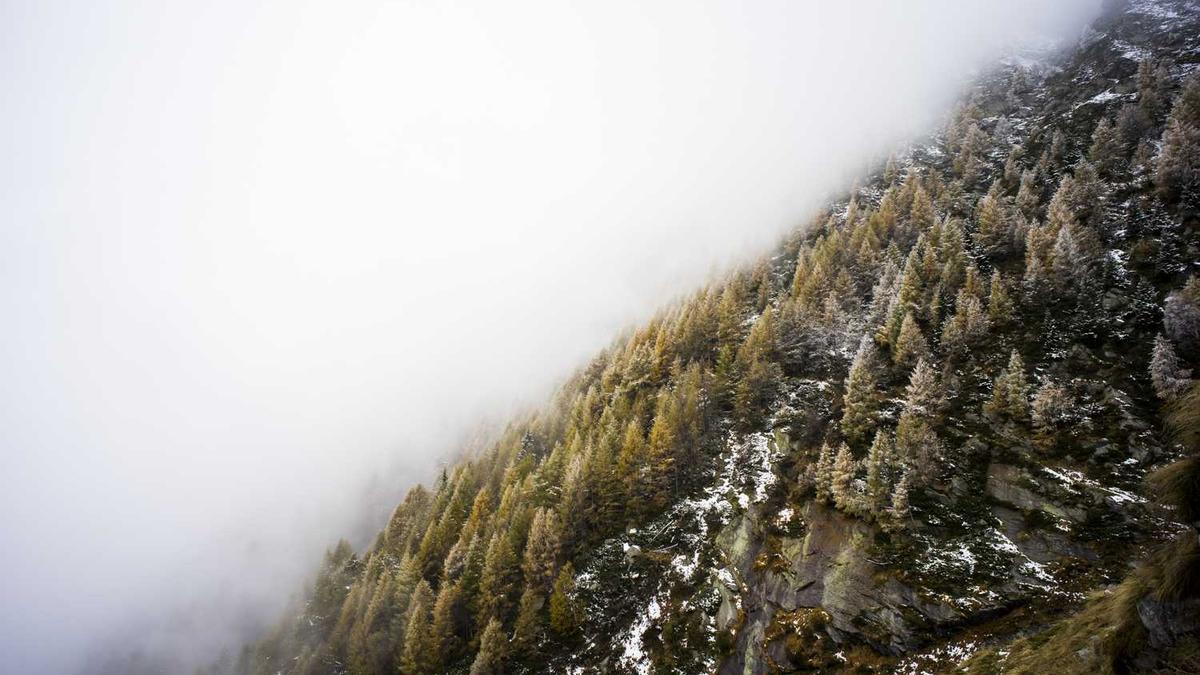 六个月的宝宝感冒鼻子不通气怎么办 – 百度宝宝知道