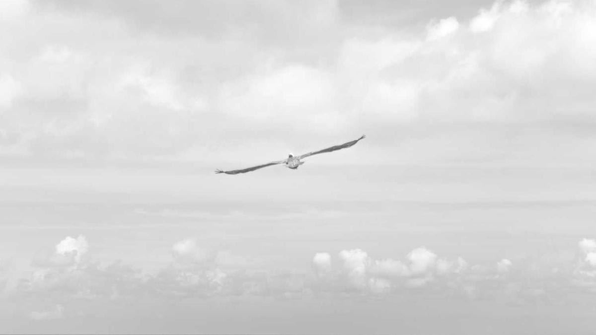 感冒鼻子不通气怎么办