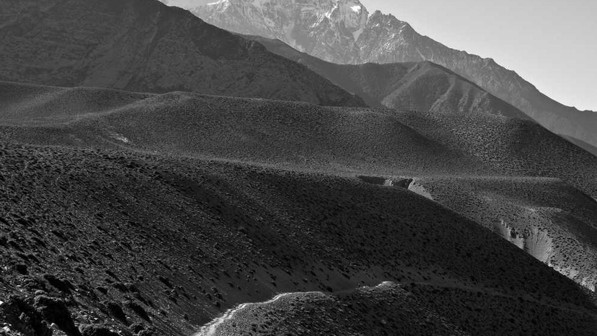 喝绿茶能不能减肥?减肥喝什么茶最好呢?