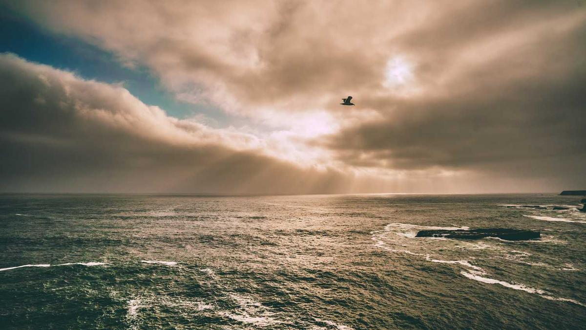 汉方饮:想靠喝茶“刮油”,可不行!