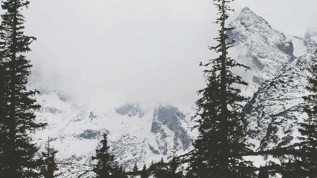 过敏性鼻炎的症状有哪些