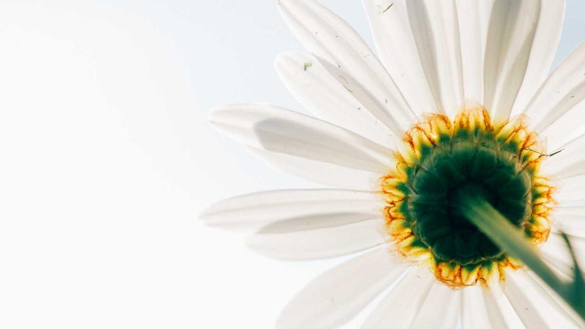 教你百发百中如何勾搭小姐姐