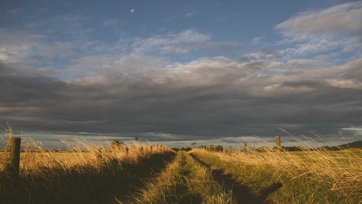 吃中药有激素,结果就足足胖了一大圈,怎么办呀~有没有什么好的方法可以瘦…