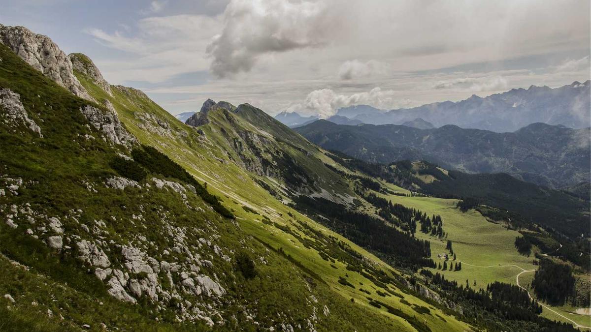 高血压吃什么可以降压