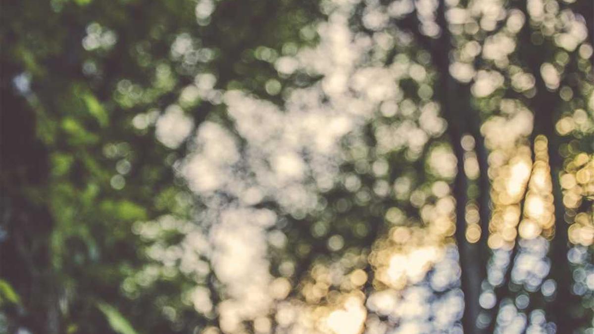 张樾丞的人物生平