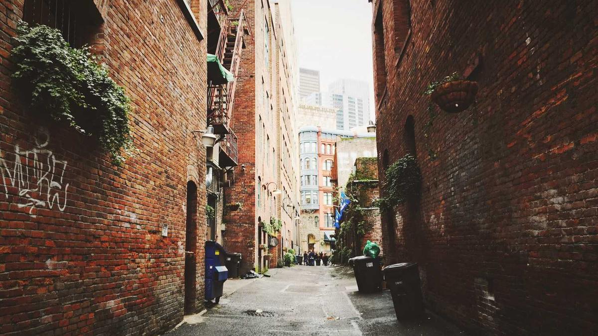 张樾丞的人物评价