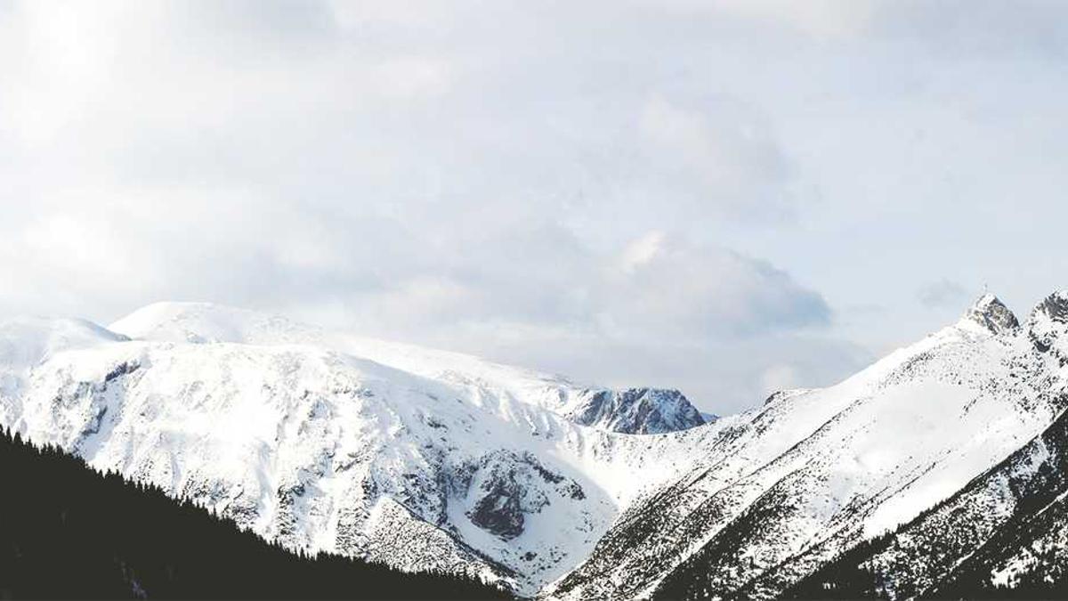 自助快餐取什么名字好呢!求解答