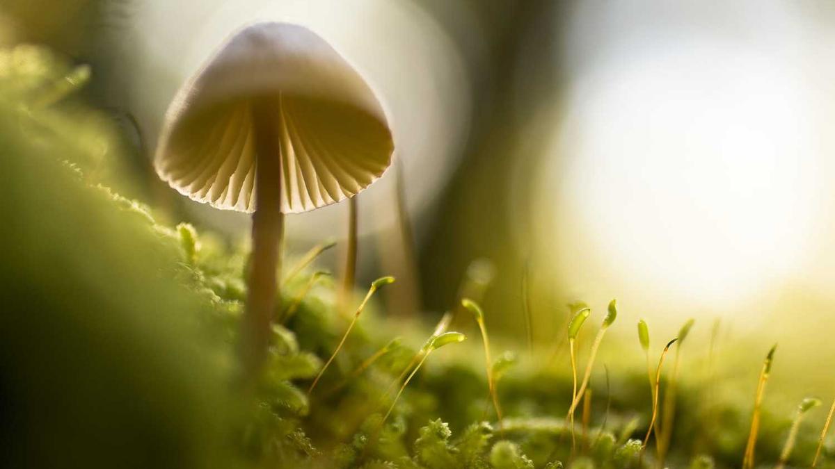 第一次约会吃什么合适?约会怎么聊天?