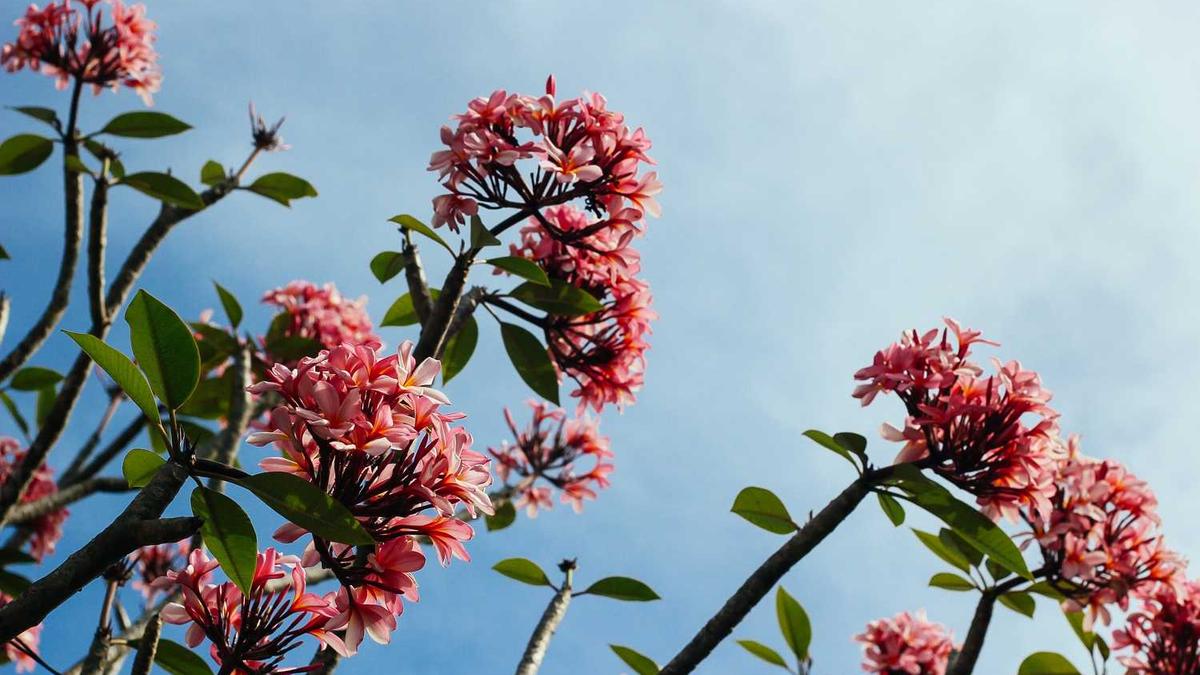 我情商低,我今晚就要去见妹子了,我该怎么跟她聊?