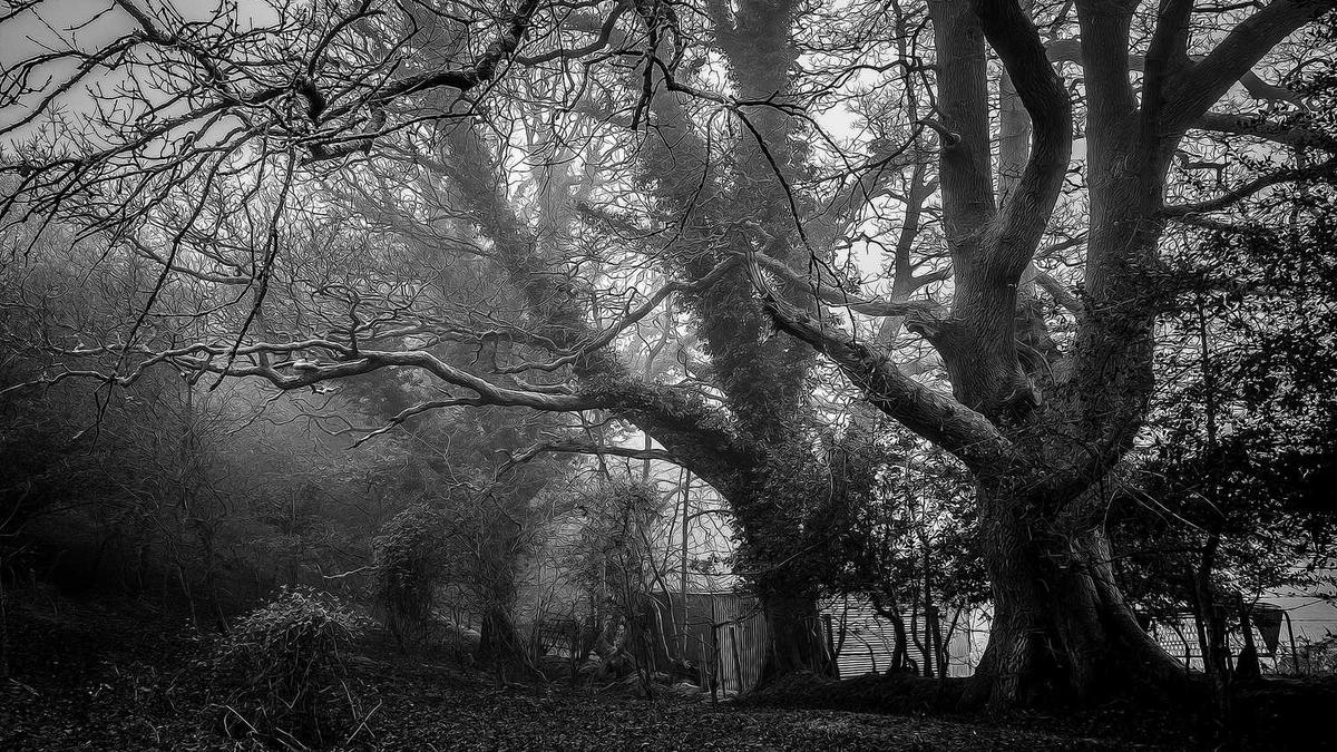 为什么附近人不显示我