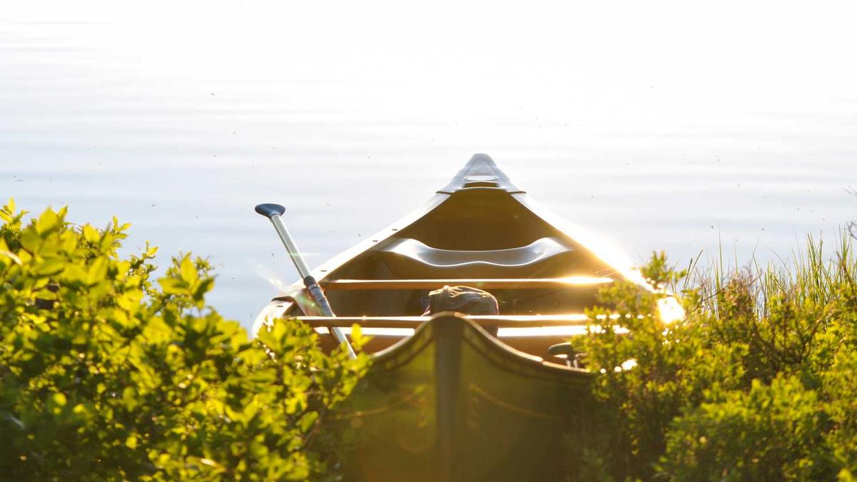 微信附近的人看不到自己是什么原因?