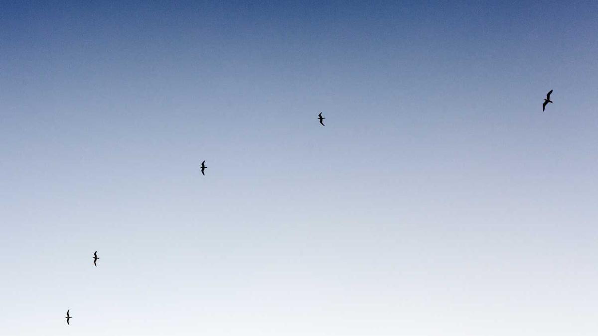 失眠是什么原因引起的