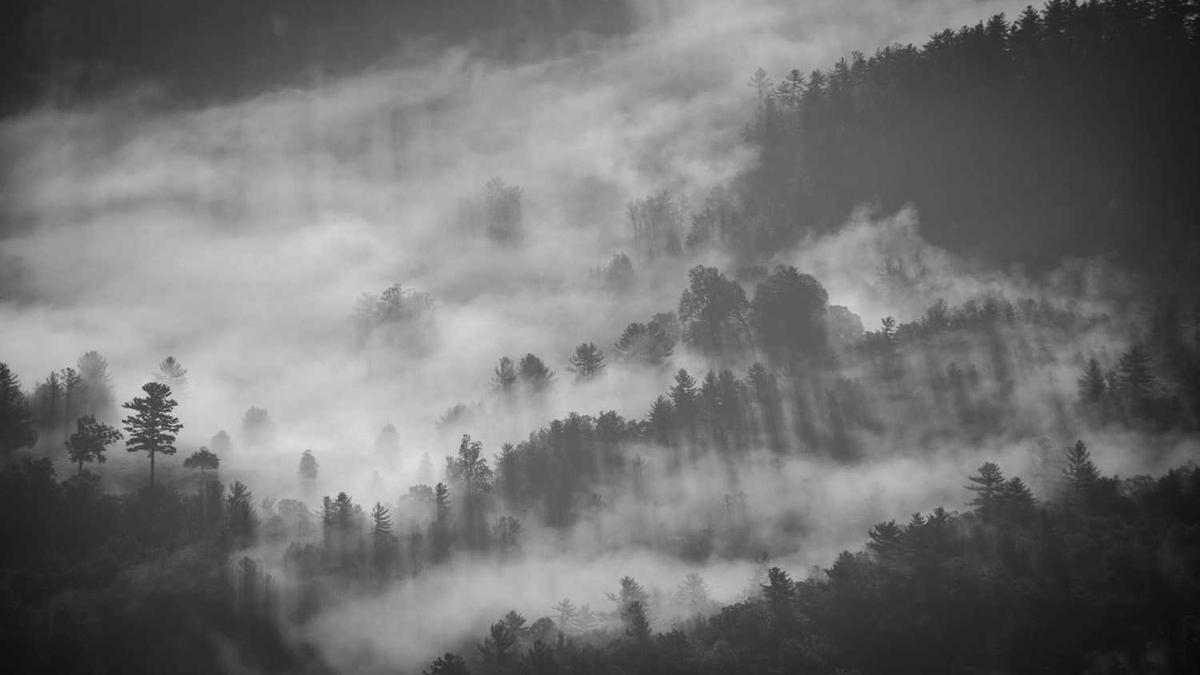 老是失眠是什么原因引起的