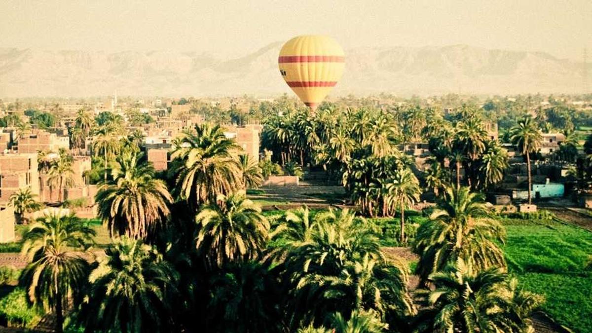 做三单任务约妹子骗局怎么追回钱报警会被抓吗?