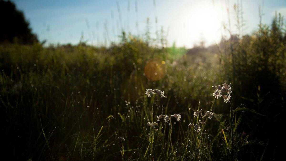 有谁碰到过仙人跳,怎么判断是不是仙人跳