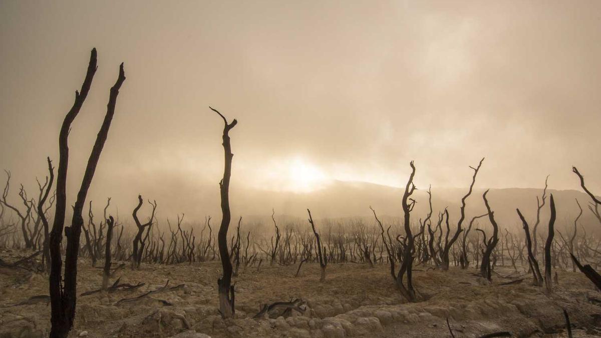 糖尿病初期可以吃什么水果