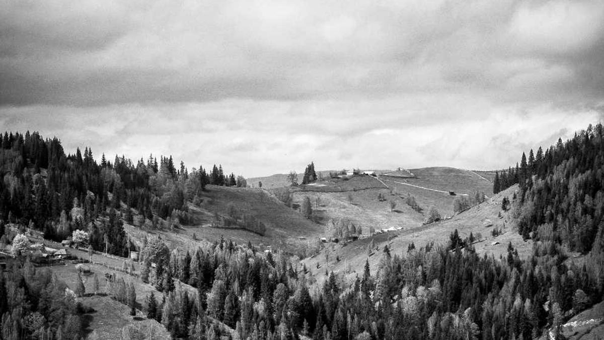 映山红原唱是谁?