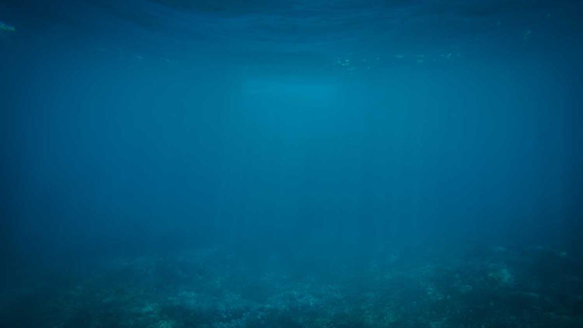 慢性胃炎注意不能吃什么东西