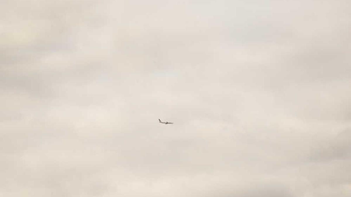 看电视剧网站免费哪个网站免费看电视剧