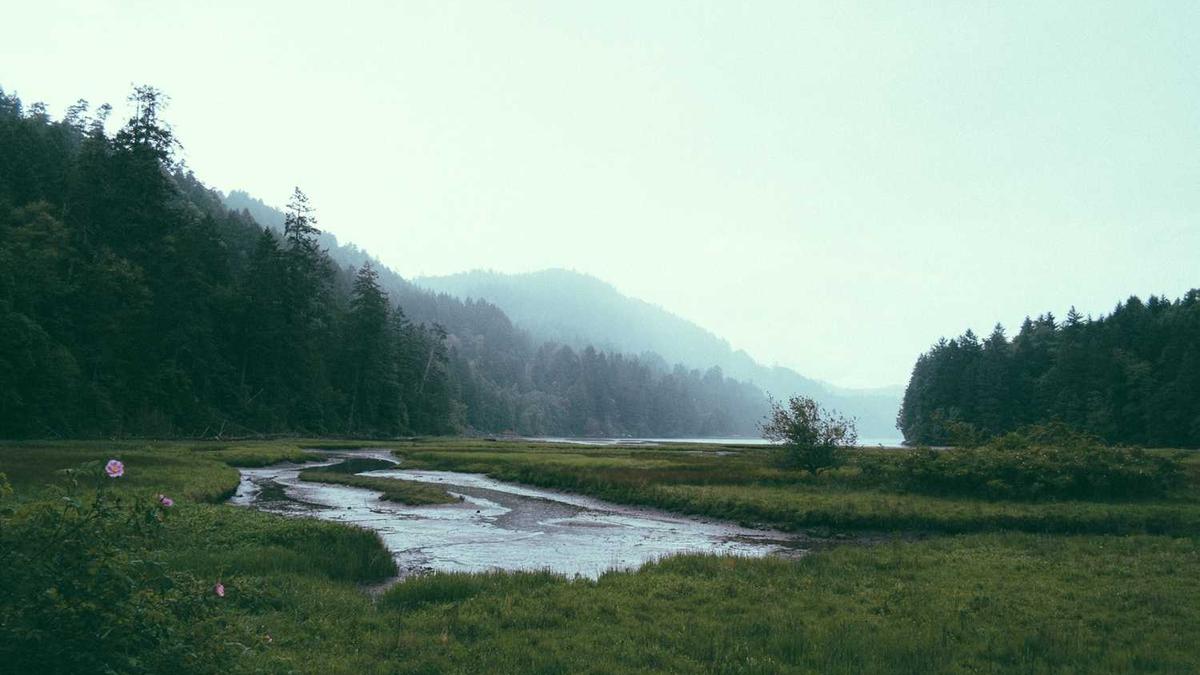 可以小屏观看电视剧的免费软件有哪些