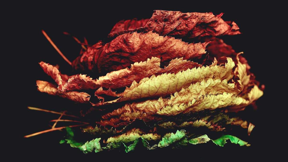 10月12日是世界关节炎日,全世界关节炎患者近4亿人