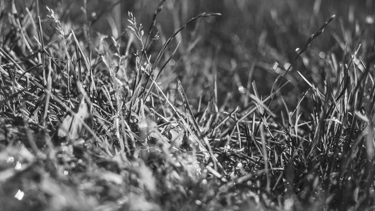 10月12日是什么日