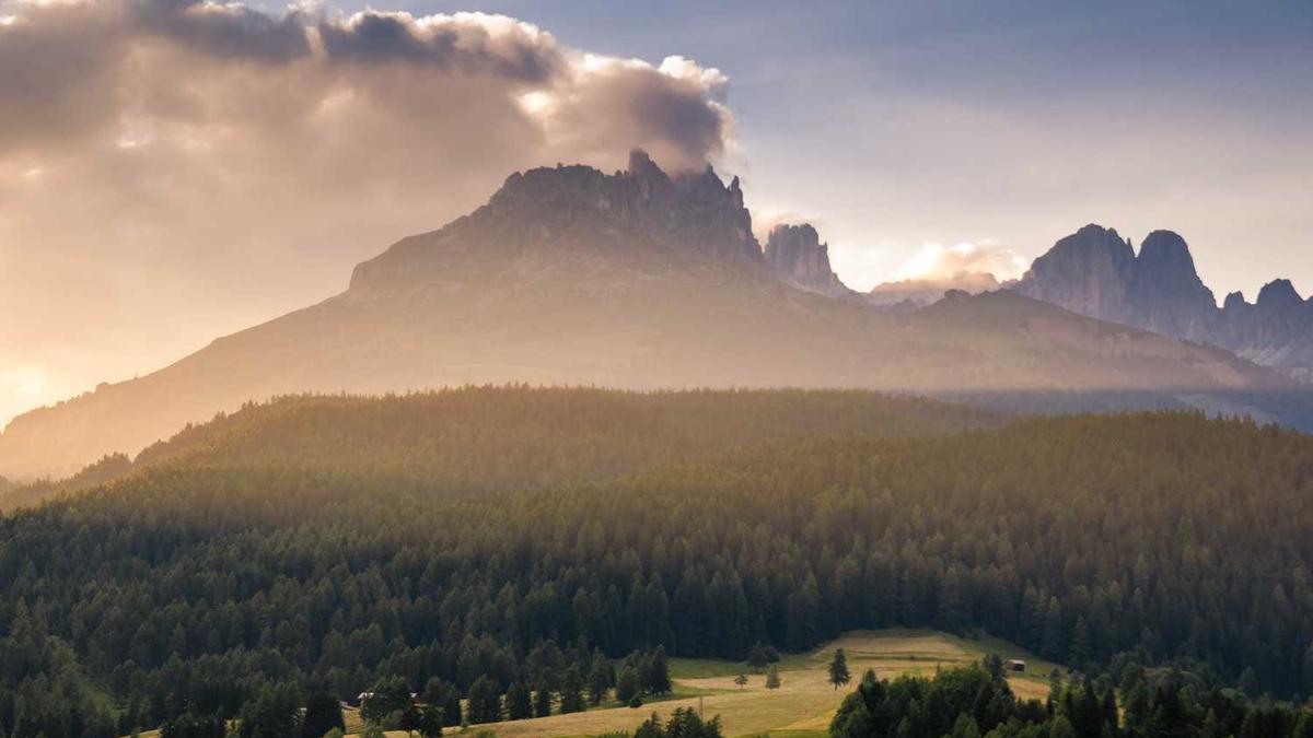 喝茶有什么好处?