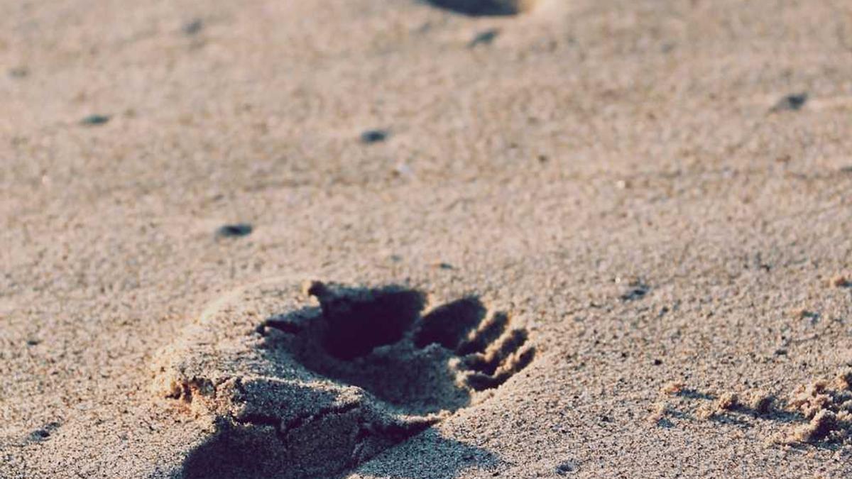 都知道张庭夫妇有钱,但不知道他们这么有钱