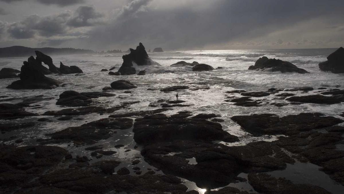 短剧穿过荆棘拥抱你影评