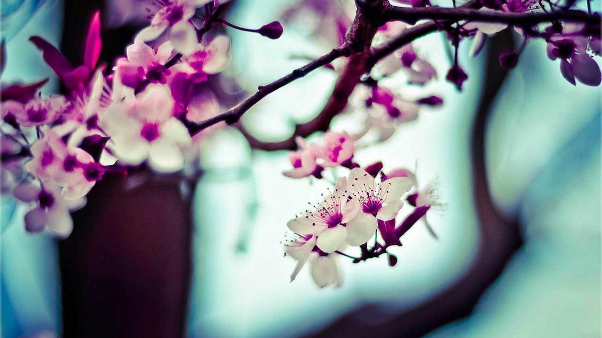 短剧拥抱月亮拥抱你剧情介绍,故事梗概