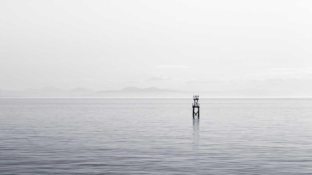 苏离舒婷婷是那个短剧