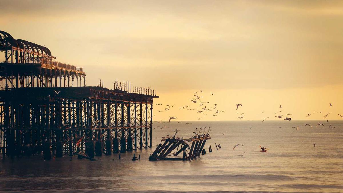 刺猬的拥抱短剧全集剧情介绍