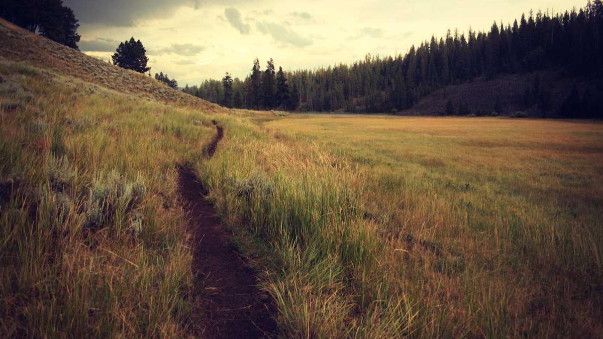 怎样快速冲击草药学1-450