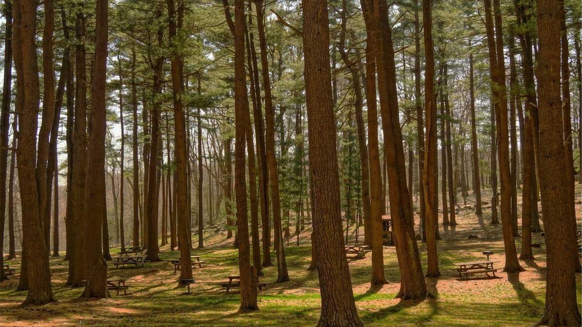 十大连锁快餐排行榜推荐