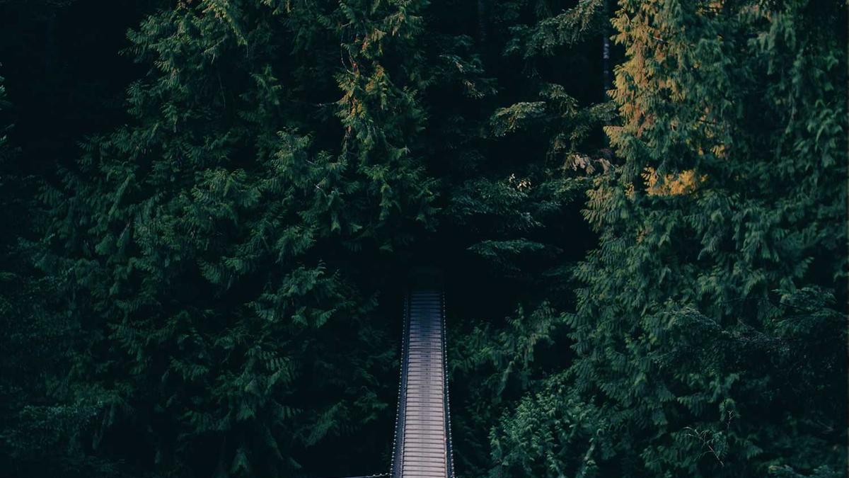 高血压早期症状表现有哪些