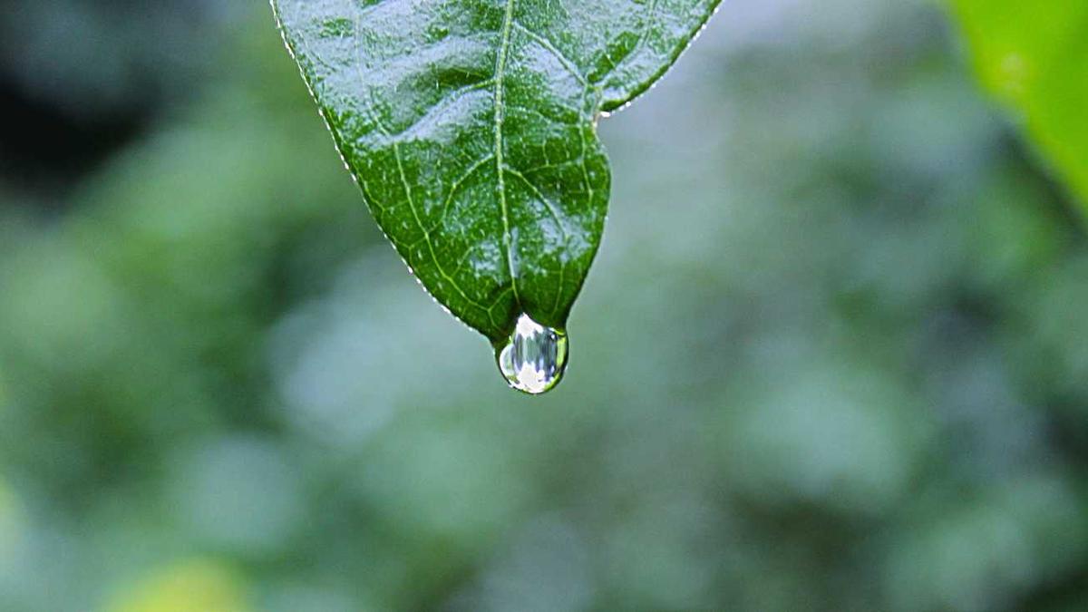 AI一键生成工作总结、年终总结报告