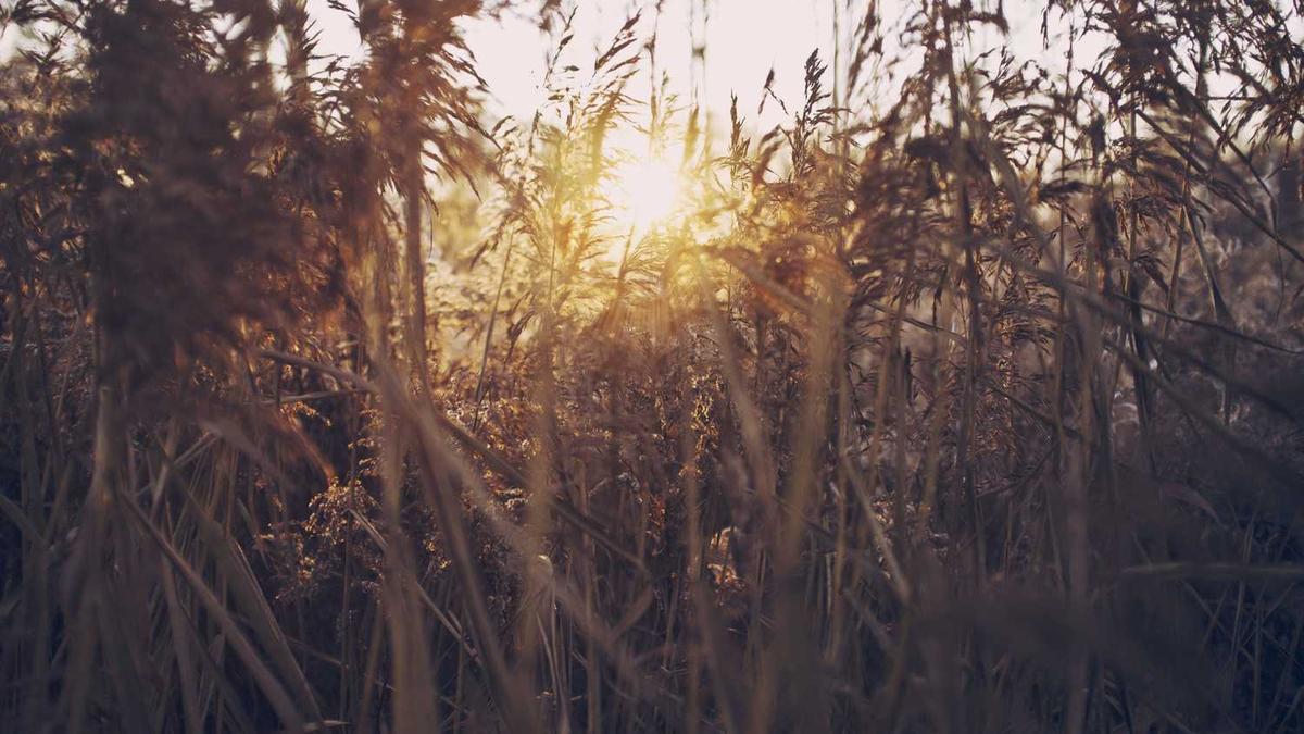 睡不沉、睡不着怎么办
